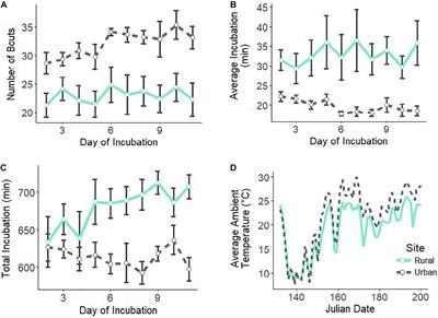 Incubation Behavior Differences in Urban and Rural House Wrens, Troglodytes aedon